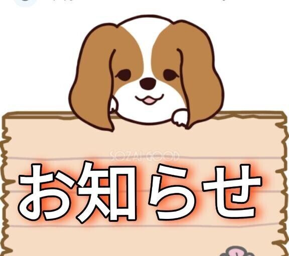 和田婆ちゃんから🧓