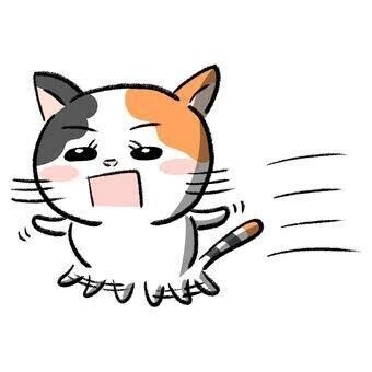 大慌て💦