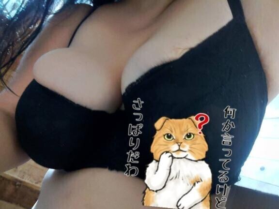 うわあぁあぁぁヽ(illﾟдﾟ)ﾉ　／　あるいはちょっとした街宣(違)