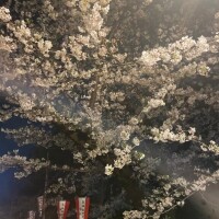 🌸3月🌸