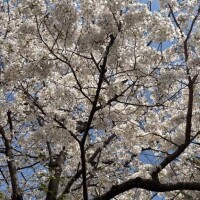 今日はリクエスト出勤💖