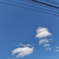 こんにちは☺️