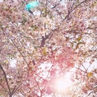退勤しましたm(_ _)m