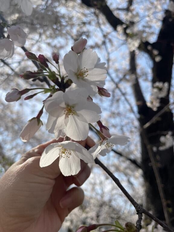 ありがとうございました🙏