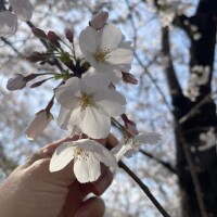ありがとうございました🙏