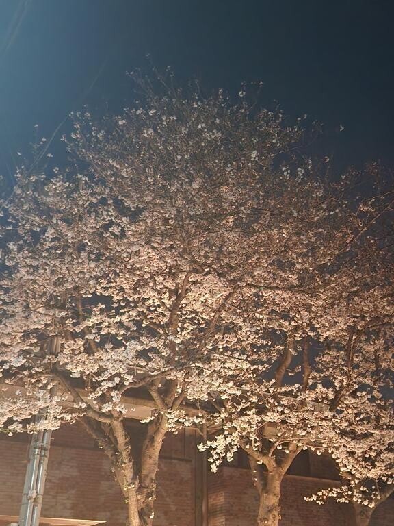 出勤