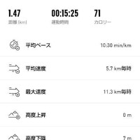 本日は朝ラン🏃