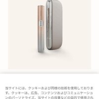 こんにちは( *´︶`*)