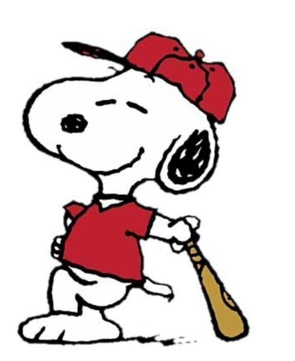 本日は12〜21時出勤です🎵