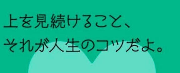 もう🌸も終わりネ☔