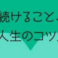 もう🌸も終わりネ☔