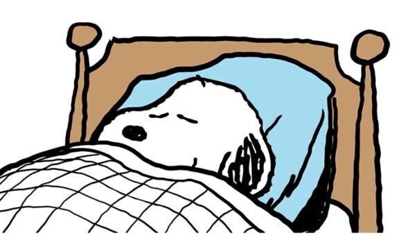 おやすみなさい