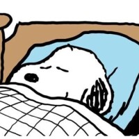 おやすみなさい
