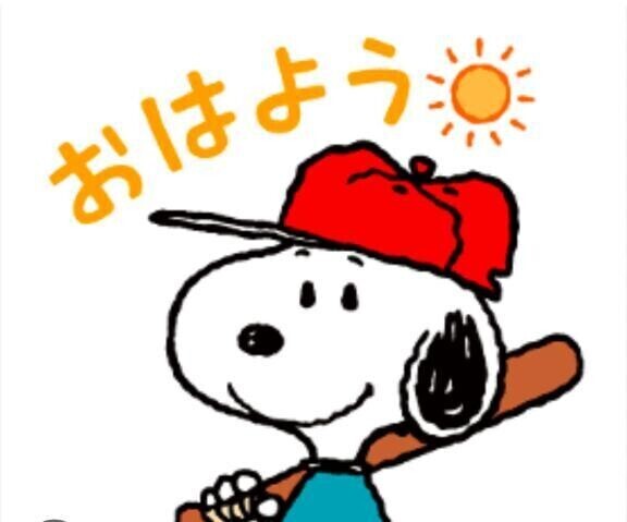 起きました☀️
