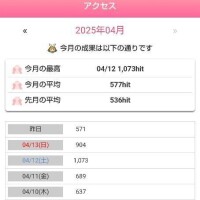 日記のアクセス数（再送です）💦