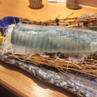 明日はお休み致します🥲