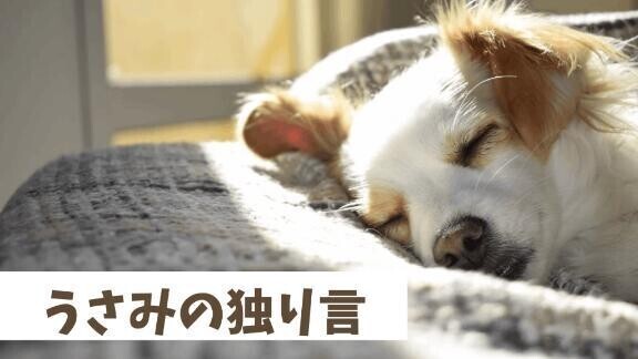 ＊独り言＊