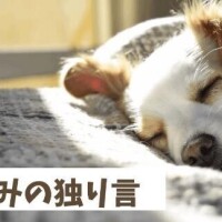 ＊独り言＊