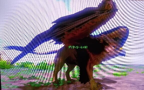 次回出勤は