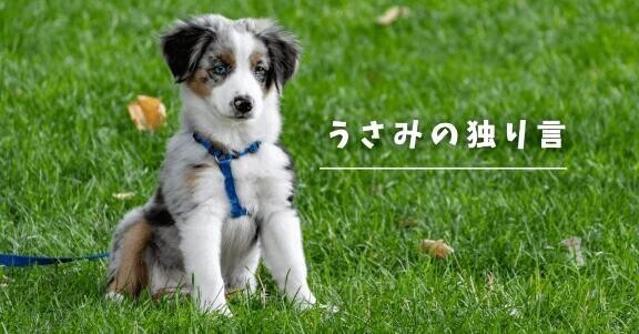 ＊独り言＊