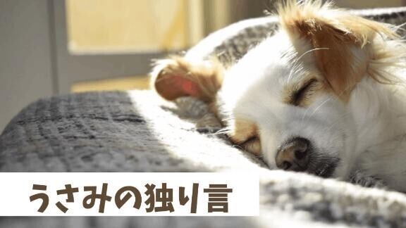 ＊独り言＊