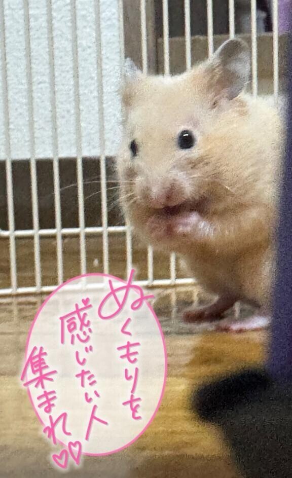 お疲れ様です🥰