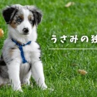 ＊また明日＊