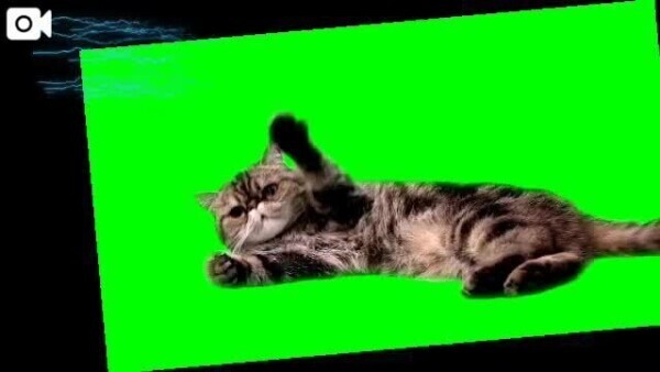 よくわからない動画ですまん&出てました