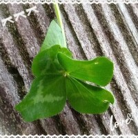 ただいま