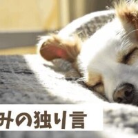 ＊わお＊