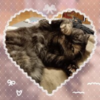 こんにちわ😄