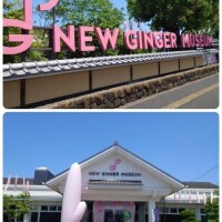 わーい♪わーい♪