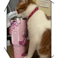 おはようございます🥰