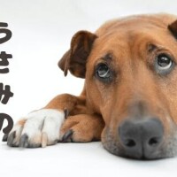 ＊昨日のありがとう＊