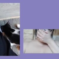「出てました」にしても遅すぎる