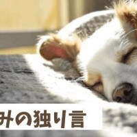 ＊またまた＊