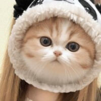出勤したよん♡