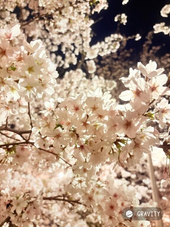 こんにちは✨