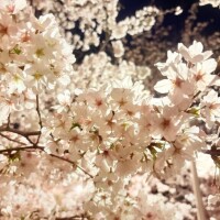 こんにちは✨