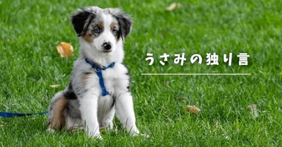 ＊謎の＊
