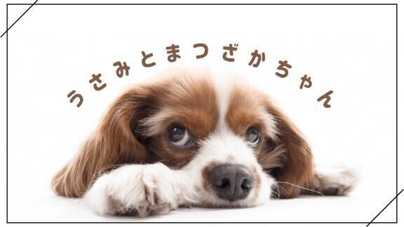 ＊美味しかった✨＊