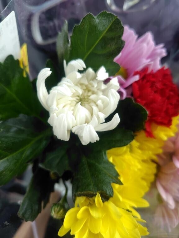 お墓参り終わりました😊