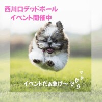 ＊準備〜＊