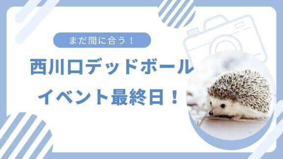 ＊イベント3日目(最終日)＊