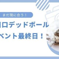 ＊イベント3日目(最終日)＊