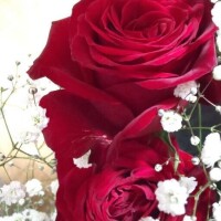 本日6/15登板予定です！
