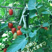 本日出勤です♪