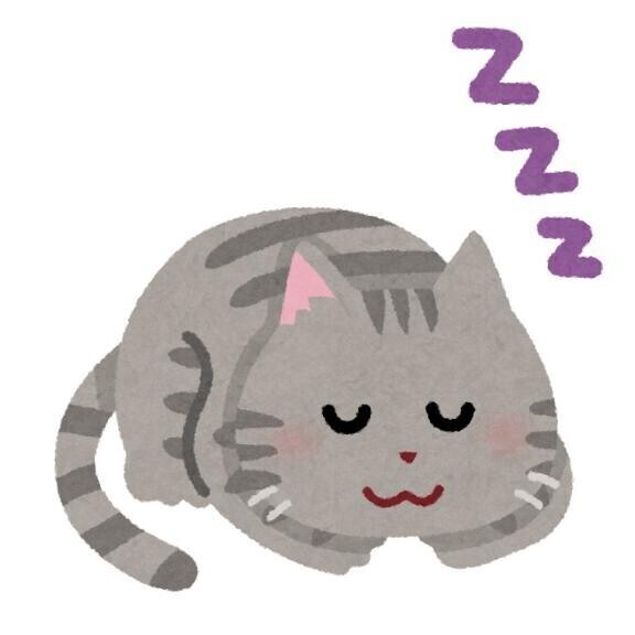 こんにちわ