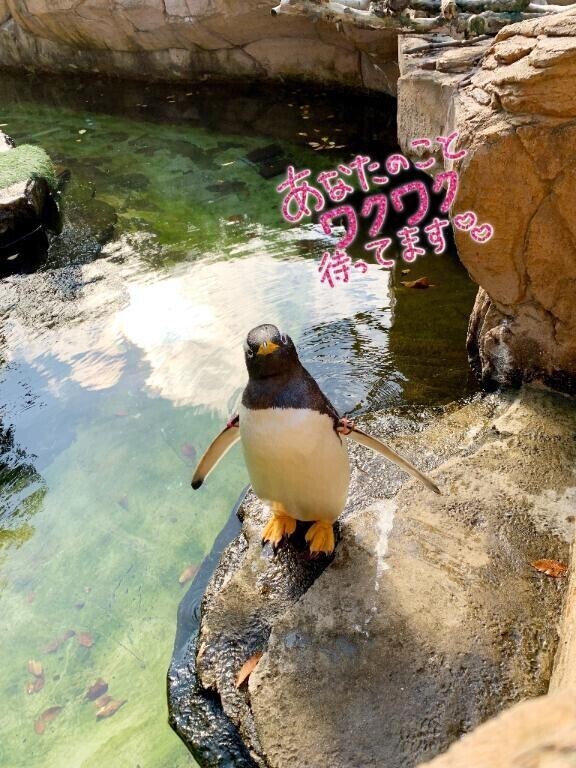 本日出勤です♪