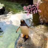 本日出勤です♪